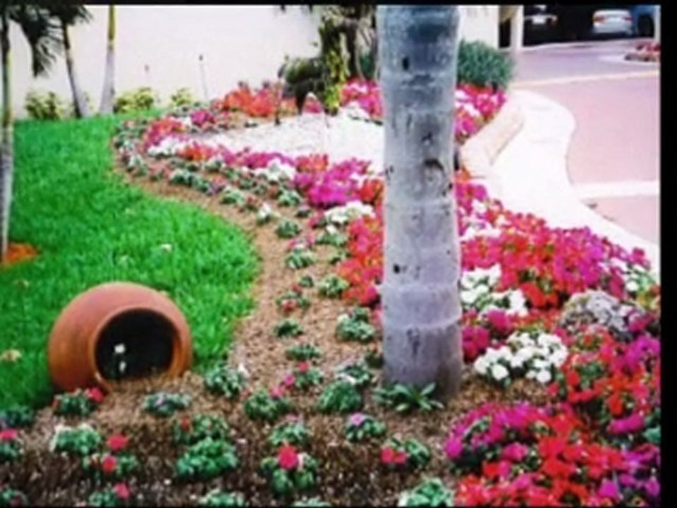 Grand Prairie Lawn Care