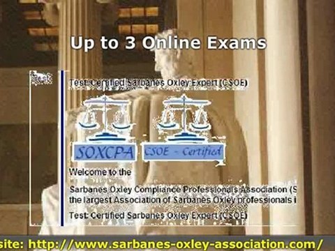 The Sarbanes Oxley Act