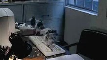 computer play