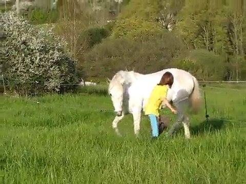 Stick to me en lib' au trot sur l'obstacles !