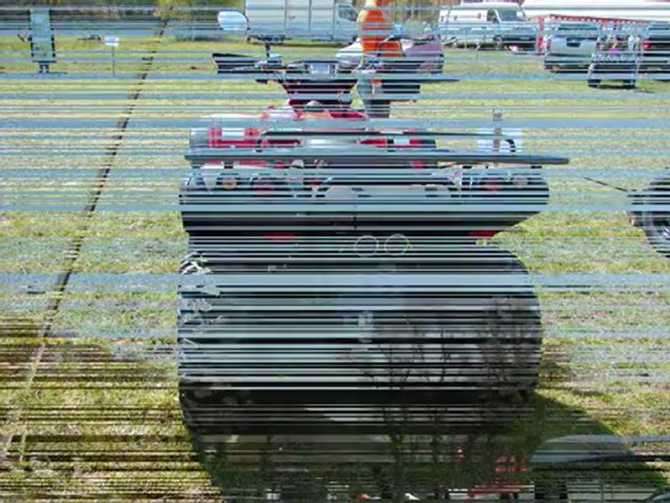 Salon Thiembronne 24 avril 2010  vidéo 1