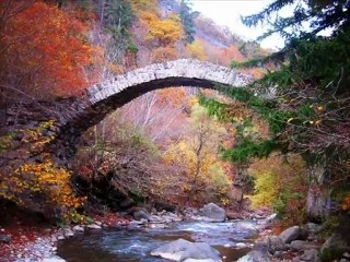 Georgia საქართველო