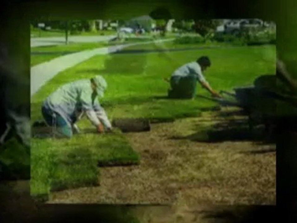Duncanville Lawn Care