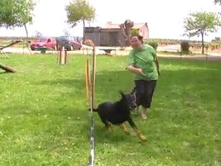 Dillo 4 piquets définitifs