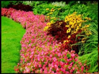 Cedar Hill Lawn Care