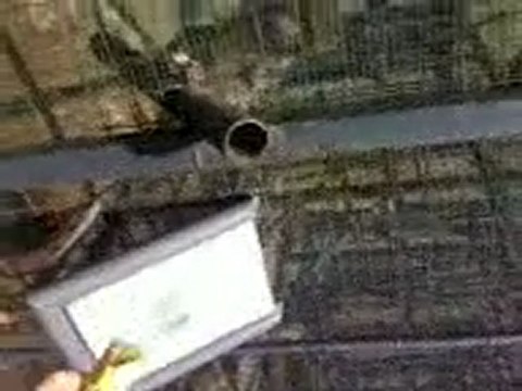 DARICA HAYVANAT BAHÇESİ GEZİSİ - MAYMUNLARA YEM VERME