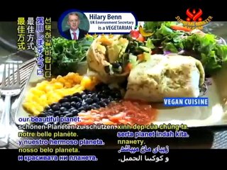 Physicians and Celebrities: The Veg Solution