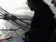 Video Port de Palamós i subhasta del peix
