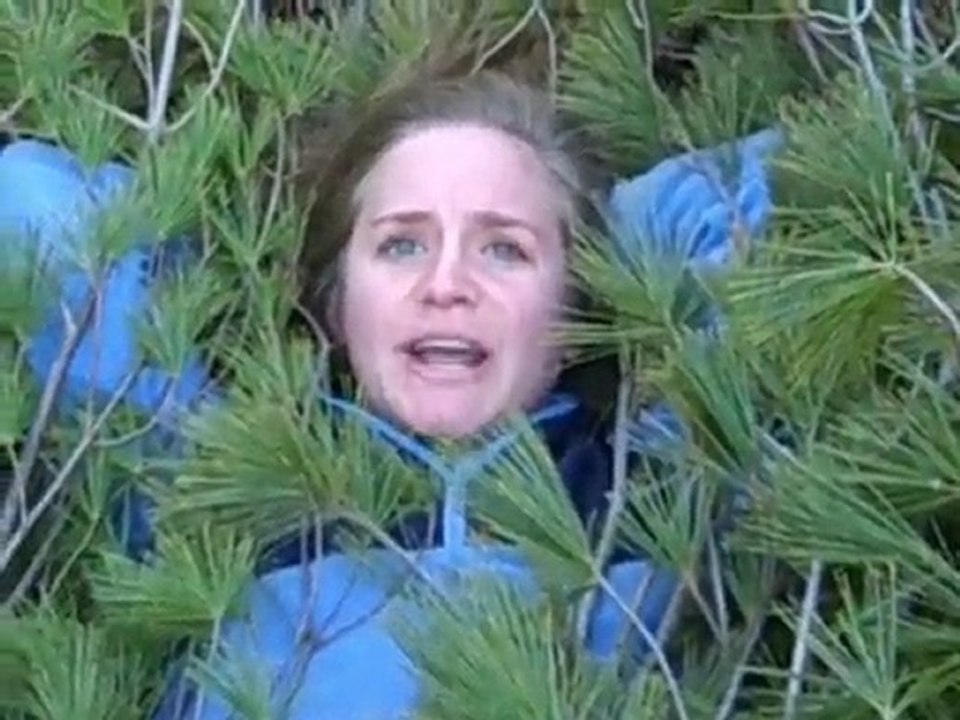 Tree Trash Nation