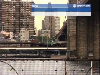 Hong Kong SAR - China, Venice - Italy, Cape Town - South Africa, Avignon - France, Rio de Janeiro - Brazil, New York - USA, Ascona - Ticino - Switzerland