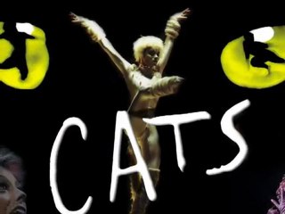 Memory cats (version instr;)
