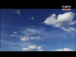 USS Enterprise Ep03 L'invation Des Iles Salomon (2/3)