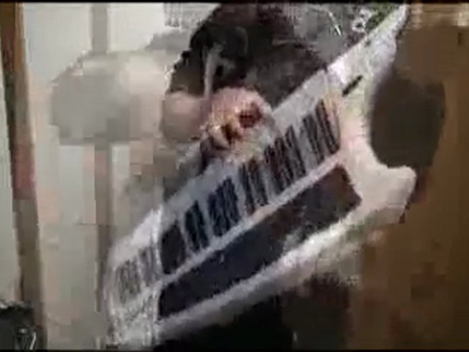 Moi jouant Final Fantasy 13 Battle Music (Keytar et violon)