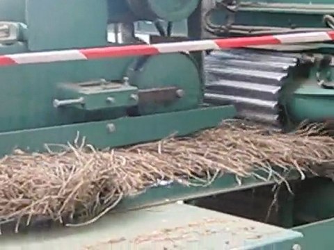 Sortie en Normandie du 29/04/2010_03