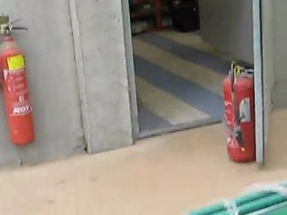 Sortie en Normandie du 29/04/2010_04