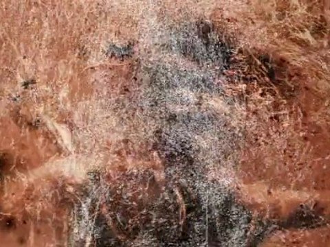 Futur en Seine 2009 : Bains Numériques - In/Ject