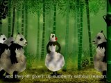La Vie Cachée des Pandas (The Secret life of Pandas )