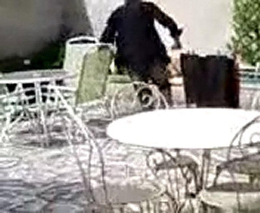 Vidéo doggy joue avec sylvain