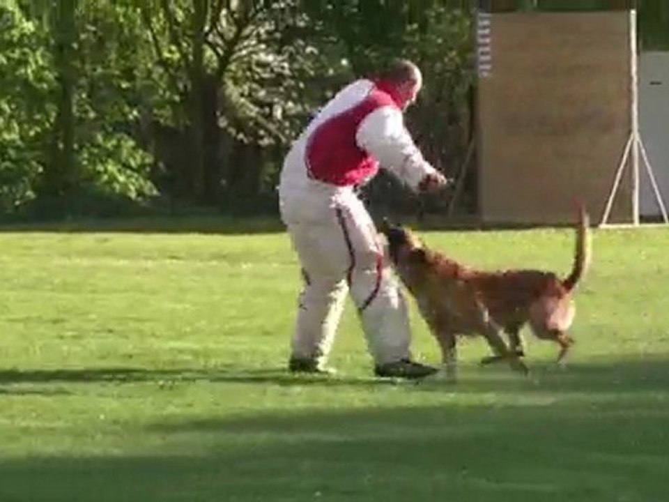 Sélectifs 2010 Ring 2e sel