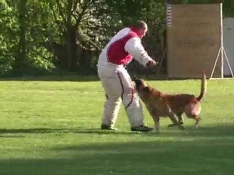 Sélectifs 2010 Ring 2e sel