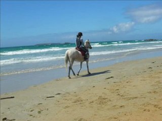 Plage, 25 avril 2010