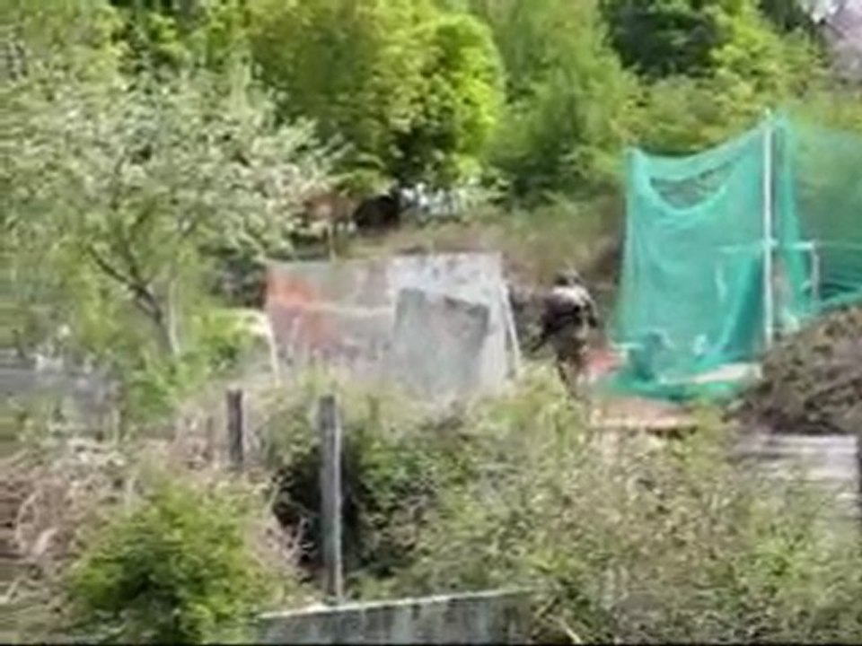 25/04/2010 - Tournoi des fougères - Pirey