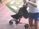 Baby pushchairs How To Find The Perfect Baby Pushchair In Un