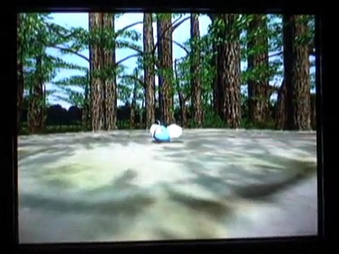 Pokémon Colosseum (27) : Coxyclaque Obscur