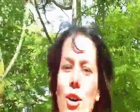 LIPDUB DEFINATURE 2010