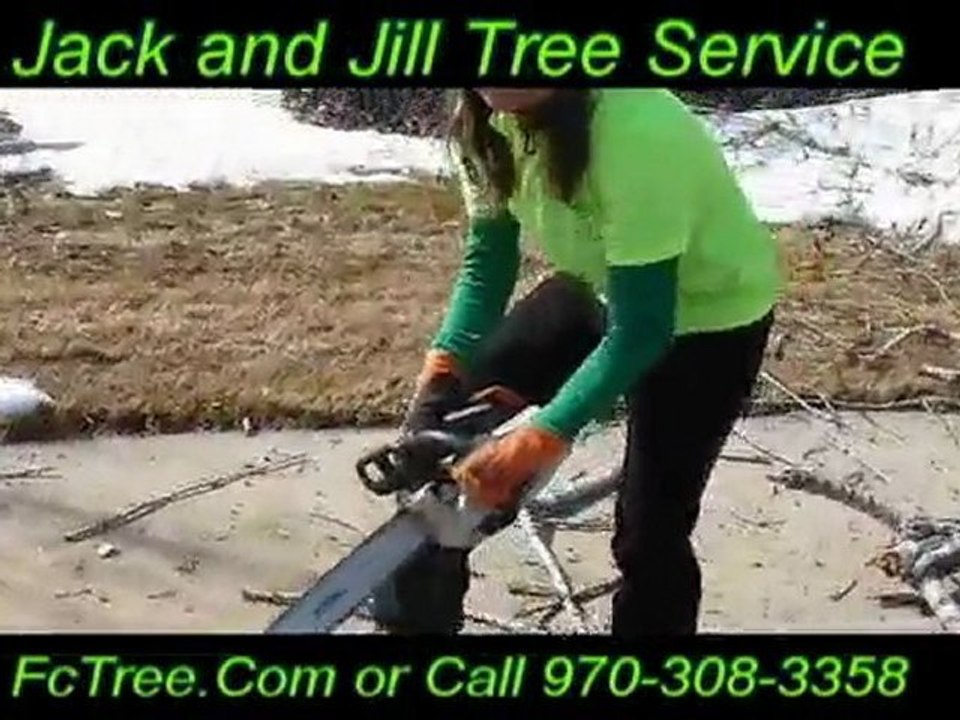 Tree Trimming Local Experts Jack and Jill