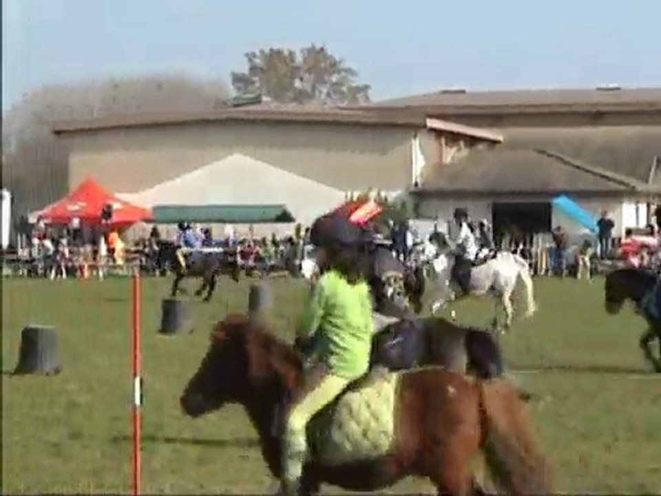 Peter Dale 2010 Tignieu Manche 3 Minis Poitou Charentes