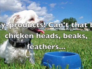 What of your Dog could talk? Funny, must see video!