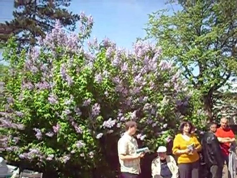 Didina Sava