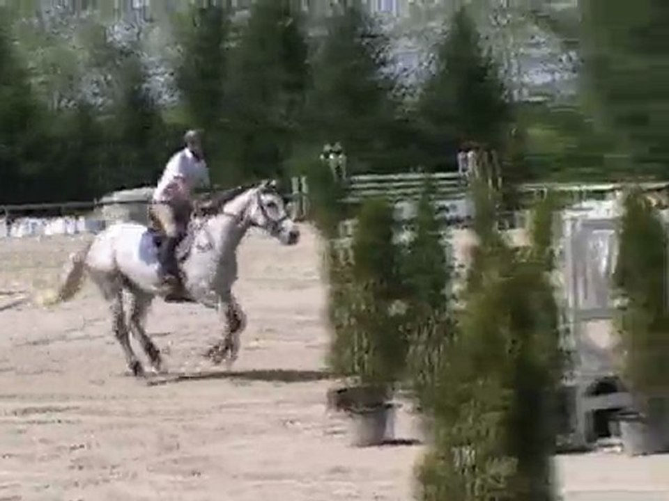 Qahira de Domerguie cycle classique 6 ans au chrono