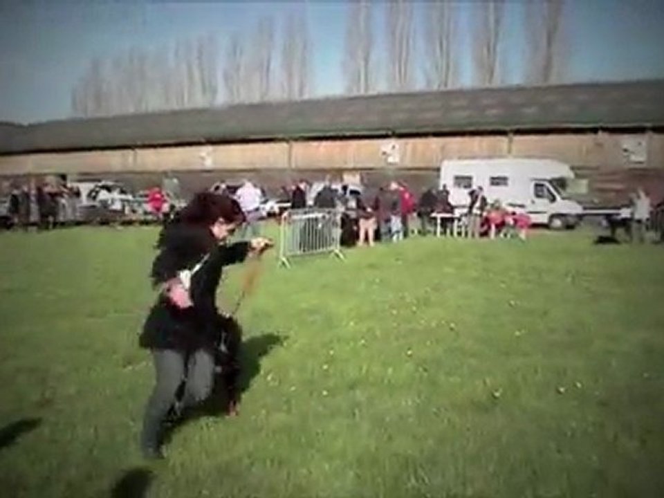 Liam - Classe baby mâle - Nationale AFBS Magnycours 2010