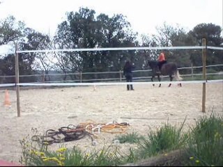 Galatéo ....1er cours