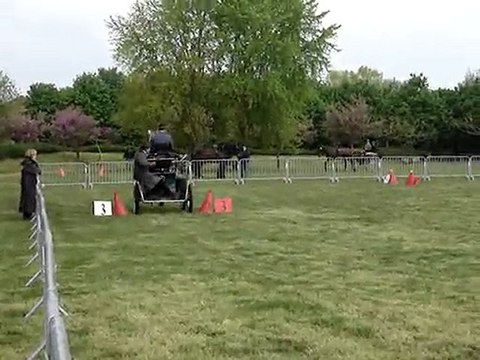 Festival Attelage Bord de Loire Andrézieux 01.05.10 - 2