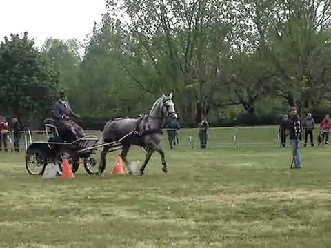 Festival Attelage Bord de Loire Andrézieux 01.05.10 - 3