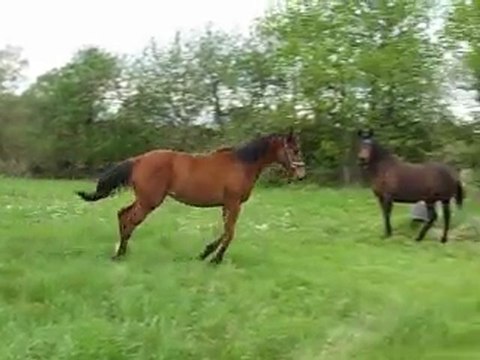 Vouvray de Fay 20100501 01
