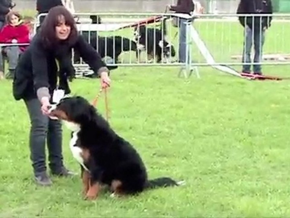 Edge - ring d'honneur - meilleur jeune - 9 mois