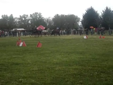 Festival Attelage Bord de Loire Andrézieux 01.05.10 - 5