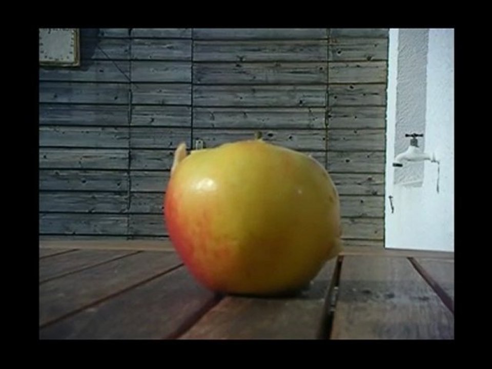 COLT & TAURUS VS APPLE