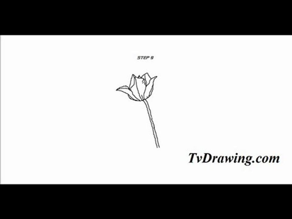 How to draw a Simple Cartoon Tulip Flower Step by Step Drawi
