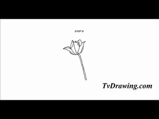 How to draw a Simple Cartoon Tulip Flower Step by Step Drawi