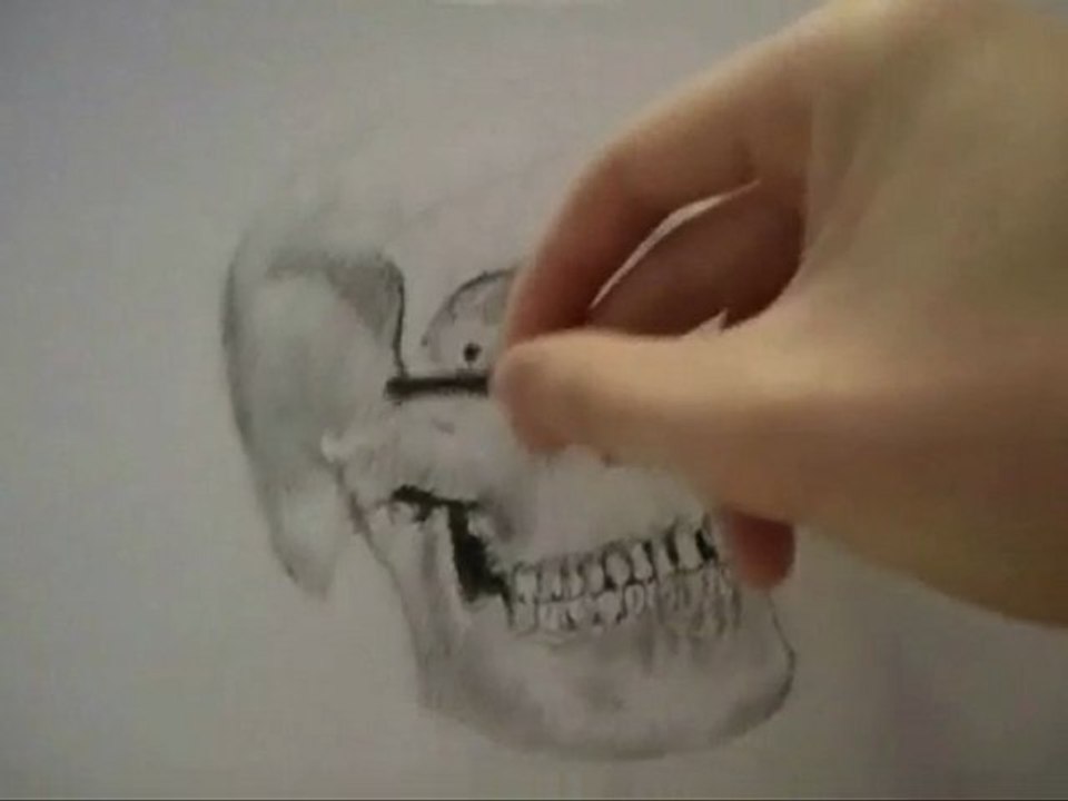 How To Draw a skull realistic face drawing skull or skeleton