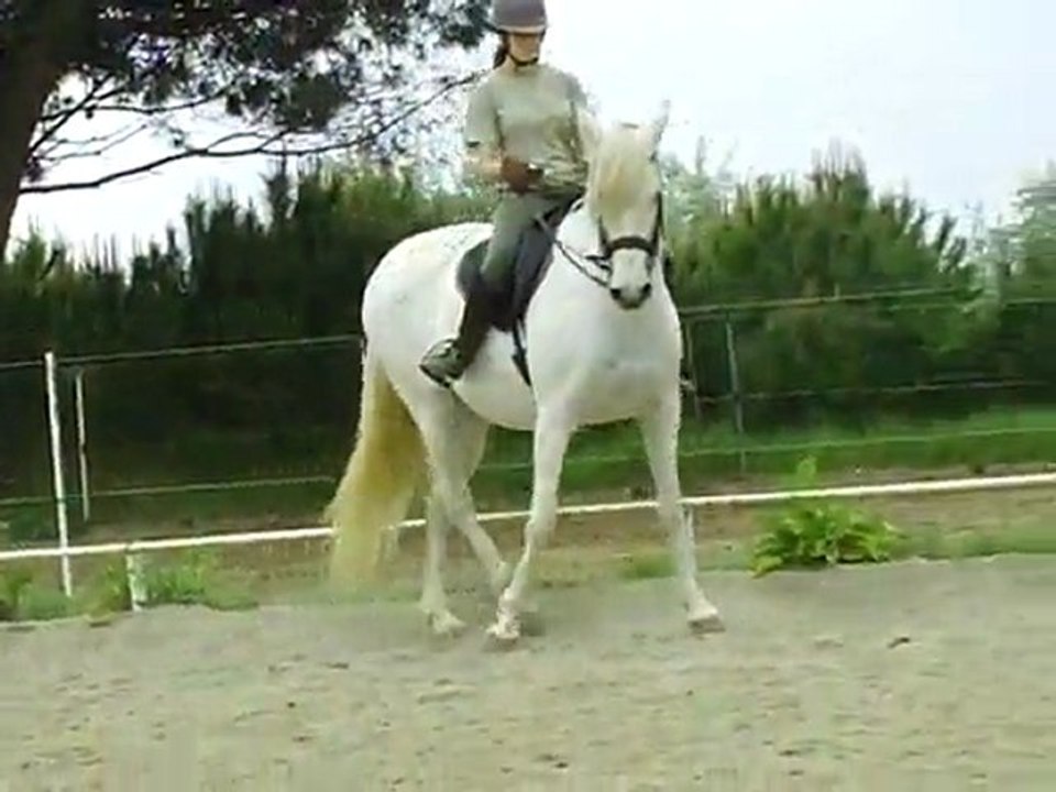 CLIP0059