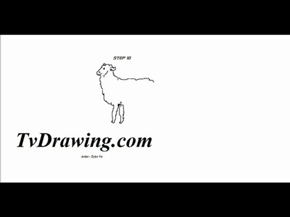 How to Draw a Cartoon Lamb Sheep or Goat, step by step Drawi