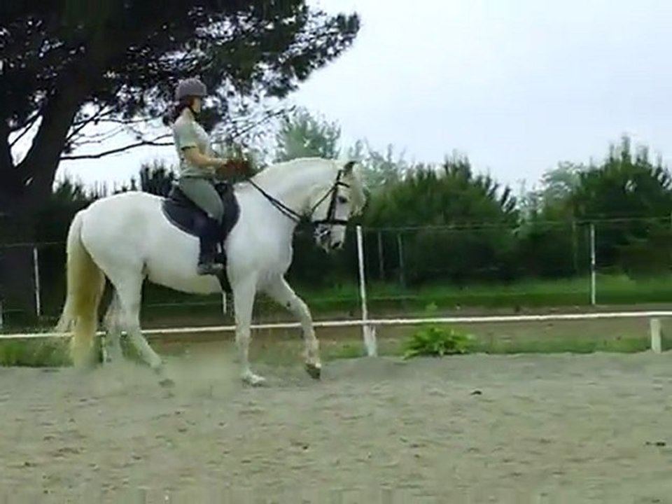CLIP0070