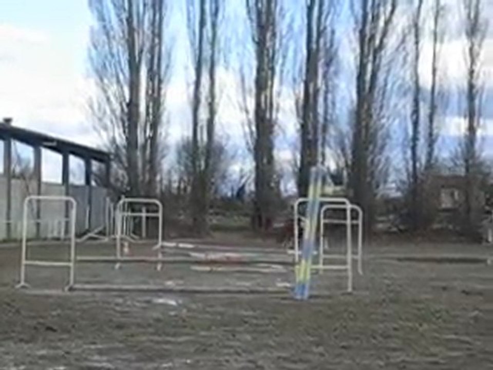 Parcours obstacle galop 3