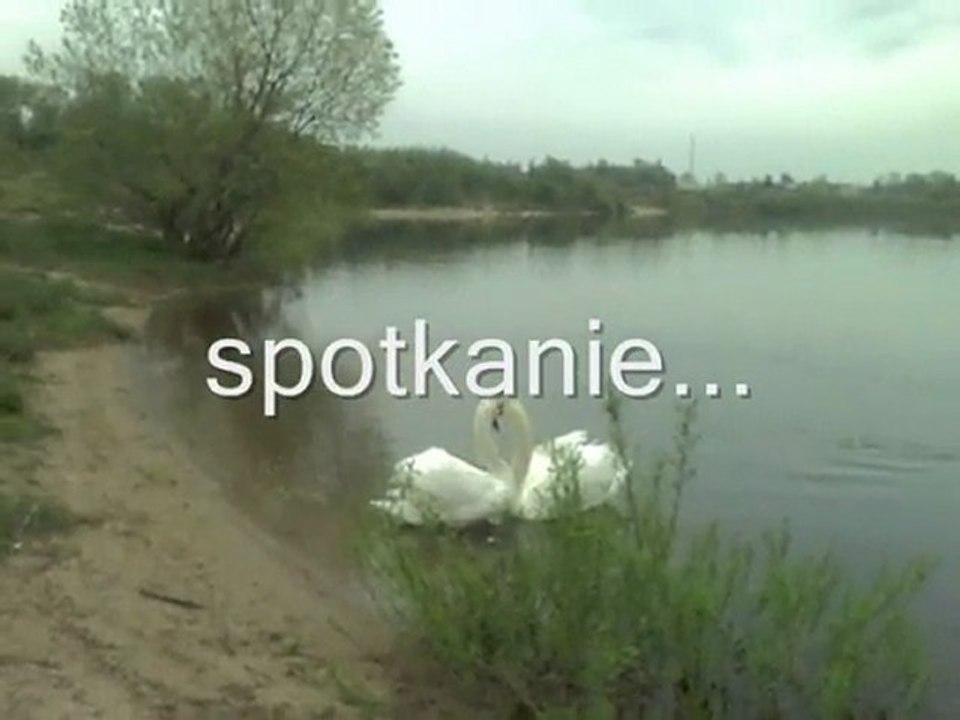 czy ten pan i pani...